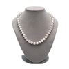 Image 2 : White Elite Collection Pearl Necklace, 8.5-9.0mm