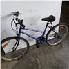 Image 3 : BLUE FREE SPIRIT BIKE