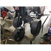 Image 2 : 2 GOLF CARTS