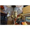Image 2 : MURANO ART GLASS CHANDELIER