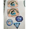 Image 1 : LOT OF FISHING OFFICIAL MEMBER PATCHES