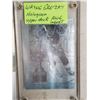Image 2 : 9 GRETZKY CARDS INCLUDING HOLOGRAM CARD 1984 OILERS GRETZKY ETC