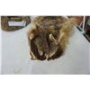 Image 2 : FUR HAT AND PELT