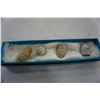 Image 2 : BATTLE OF ANTIETAM 1862 DROPPED MUSKETBALL AND BULLETS