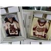 Image 2 : 4 RARE NHL JERSEY STARHANGERS - RETAIL $59.99 KINGS, AVALANCHE, RED WING, COYOTES