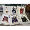Image 1 : 4 RARE NHL DARK JERSEY STARHANGERS - RETAIL $59.99 BLUES, STARS, LIGHTNING, RED WINGS