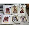 Image 1 : 4 RARE NHL JERSEY STARHANGERS RETAIL $59.99 BLUES, PREDATORS, BLACK HAWKS, SENATORS