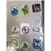 Image 3 : 18 VINTAGE FELT AND OTHER THROWBACK PATCHES
