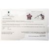 Image 1 : 14K White Gold Natural Ruby(0.92ct) Diamond(0.14ct) Earrings (~weight 1.41g), Made in Canada, Apprai