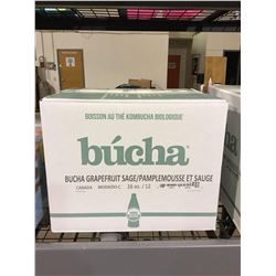 Case ofBuchaGrapefruitKombucha (12 x 473mL)