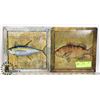 Image 1 : 2 METAL FISH DISPLAYS