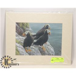 ROBERT BATEMAN PRINT TUFTED  PUFFINS