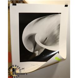 LARGE HIGH QUALITY POSTER / PRINT #2