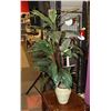 Image 1 : 48" TALL SILK PLANT