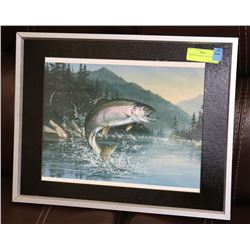 FRAMED RAINBOW TROUT PICTURE