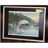 Image 1 : FRAMED RAINBOW TROUT PICTURE