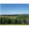 Image 2 : 2,101 Acres of Grazing Land West of Cochrane