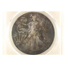 2013 AMERICAN SILVER EAGLE PCGS MS66 TONED