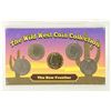 Image 1 : THE WILDWEST COIN COLLECTION 5 LIBERTY "V" NICKELS