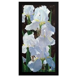 Enchanting Irises by Davis, Brian