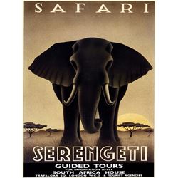 Steve Forney - Safari Serengeti