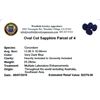 Image 2 : 25.29 ctw Oval Cut Sapphire Parcel