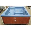 Image 1 : Balboa Water Group Hot Tub & Spa, No Leaks, Functionality Unknown 70" x 82"