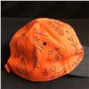 Image 2 : BC LIONS MULTI SIGNED BASEBALL HAT