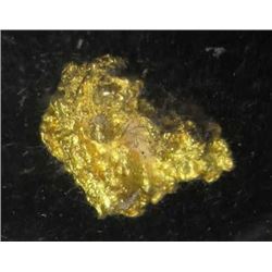 2.31 Gram Natural Gold Nugget