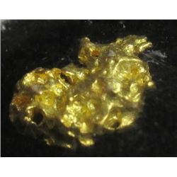 3.22 Gram Natural Gold Nugget