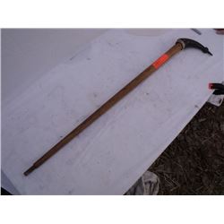 Officer's cane