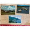 Image 8 : Lot of Assorted Postcards