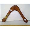 Image 1 : Platy - Bingi 35 Meter Range, Right Hander Boomerang - Span 14"