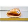Image 3 : Helmet Conch Length 5" - Seashell Collector Specimen - Top Grade