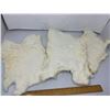 Image 1 : Lot of 3 White Rabbit Pelts
