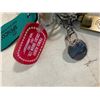 Image 6 : 11- Assorted Key Chains