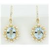 Image 1 : 8.07 CTW Aquamarine 14K Yellow Gold Diamond Earrings
