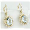 Image 2 : 8.07 CTW Aquamarine 14K Yellow Gold Diamond Earrings