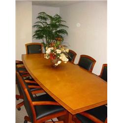 Executive conference table with 8 chair