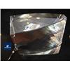 Image 1 : Swarovski giant Ray art paper weight