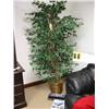 Image 1 : 5 silk ficus tree in pot