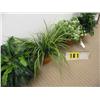 Image 1 : silk medium size group of 4 plants