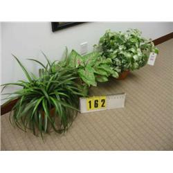 silk medium size group of 3 plant