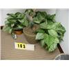 Image 1 : silk medium size group of 3 plants