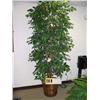 Image 1 : 8 silk ficus tree