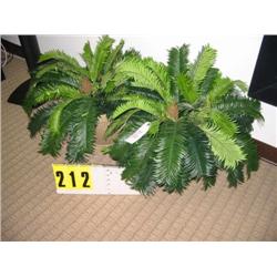 grouping of 2 small silk ferns