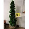 Image 1 : potted silk tree 5 tall