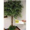 Image 1 : potted verigated silk plant