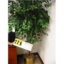 potted silk ficus tree 6 tall