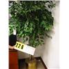 Image 1 : potted silk ficus tree 6 tall